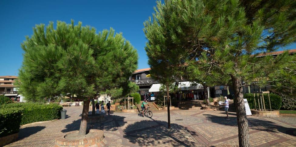 Camping Messanges