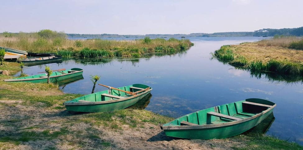 Camping et locations dans les Landes